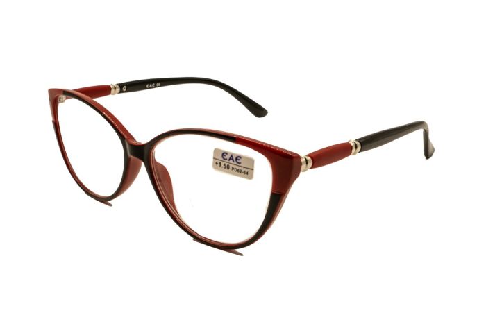 Ready eyeglasses EAE 2201 c707